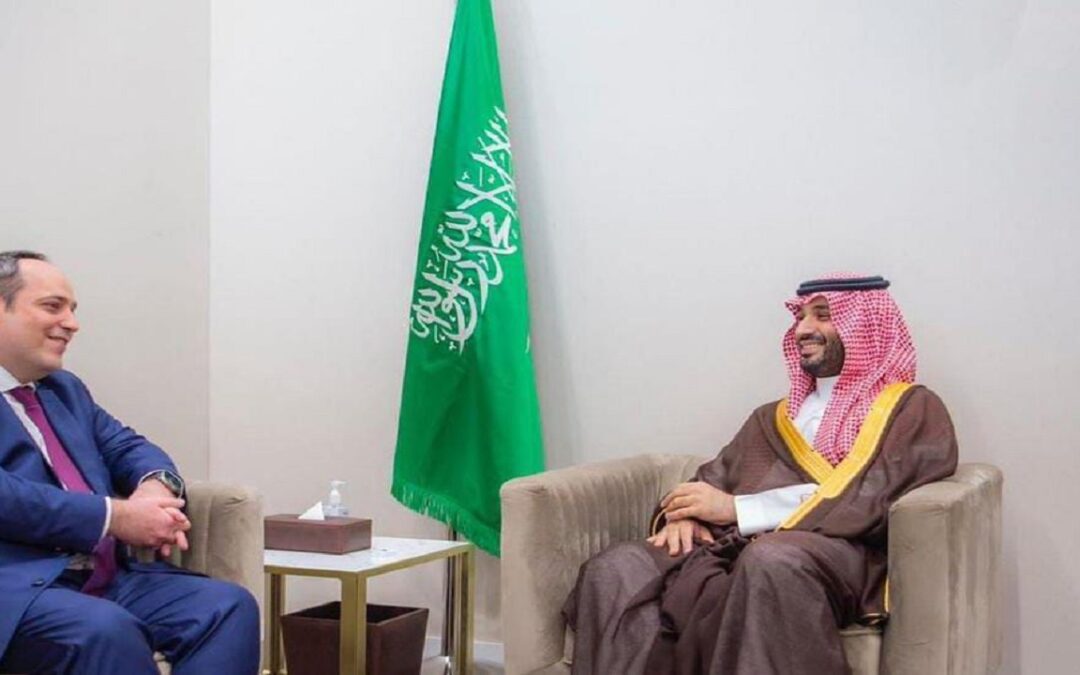 ولي العهد يلتقي الأمين العام للمكتب الدولي للمعارض