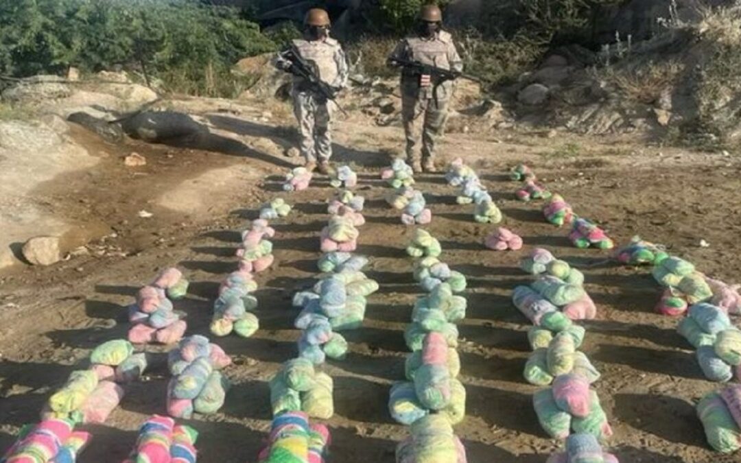 إحباط تهريب 100 كيلوجرام من القات في جازان