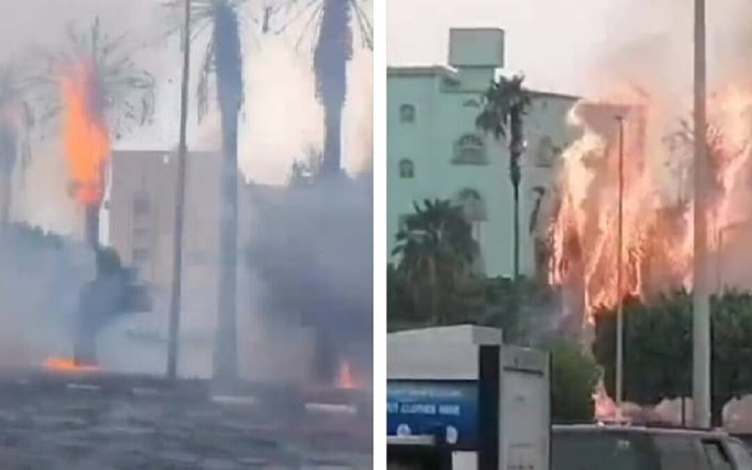 صواعق تشعل النيران في أشجار وادي وج بالطائف