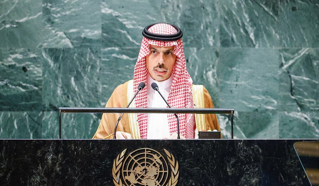 وزير الخارجية: استقرار الشرق الأوسط يقوم على حل القضية الفلسطينية