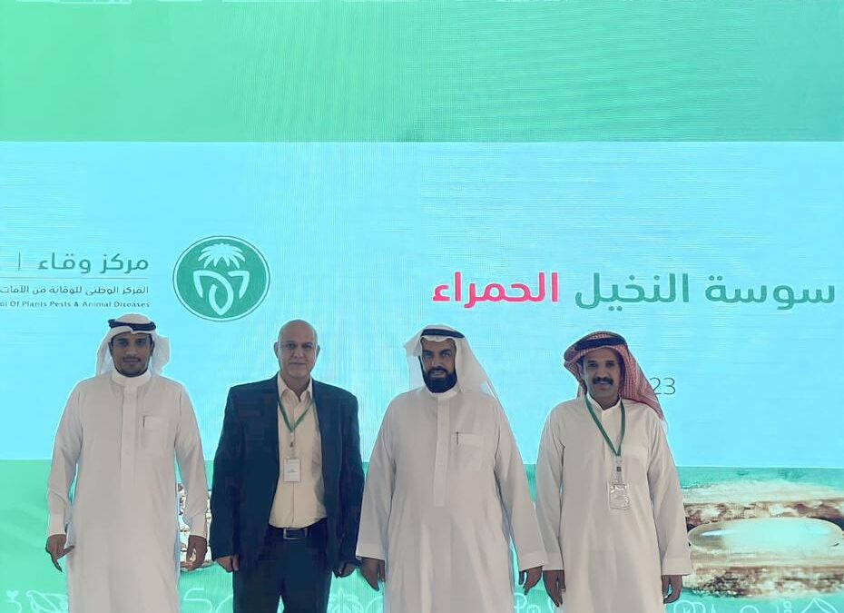 مهرجان صفري بيشة يواصل فعالياتِه بوجود ورش عمل لمركز وقاء