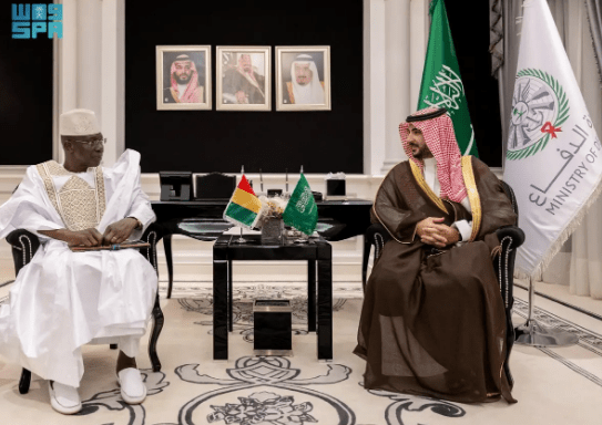 وزير الدفاع يجتمع بنظيره الغيني بالرياض
