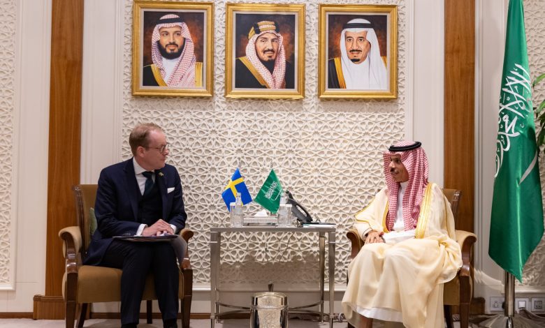 وزير الخارجية يبحث مع نظيره السويدي سبل التعاون بين البلدين