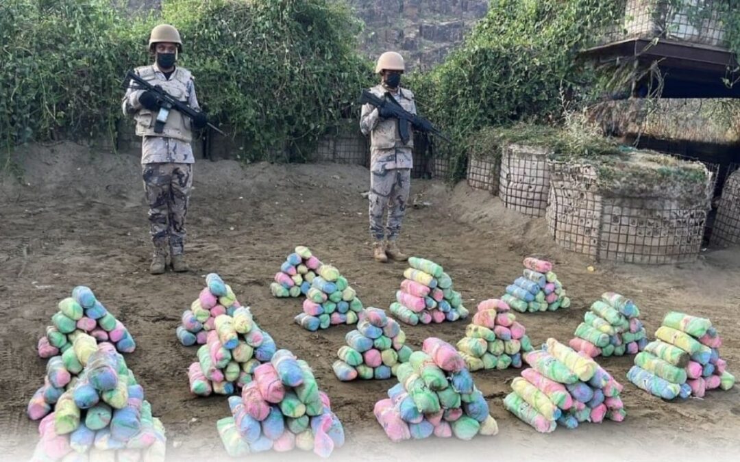 إحباط عملية تهريب 80 كغم من نبات القات المخدر بمنطقة جازان