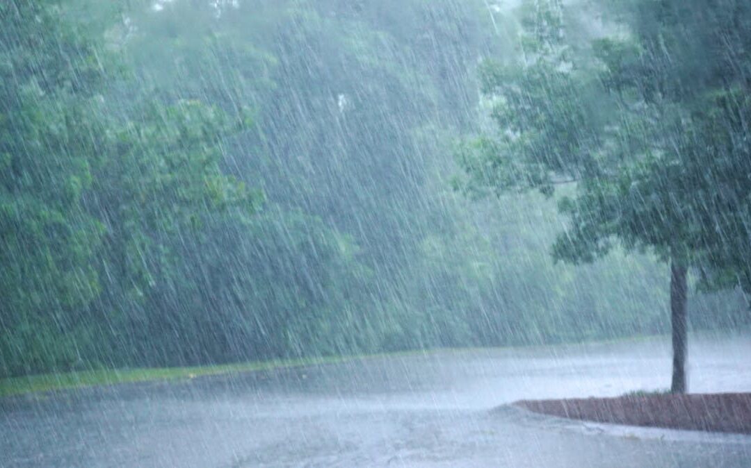 جمعية الطقس والمناخ .. تتنبأ بهطول أمطار على هذه المناطق