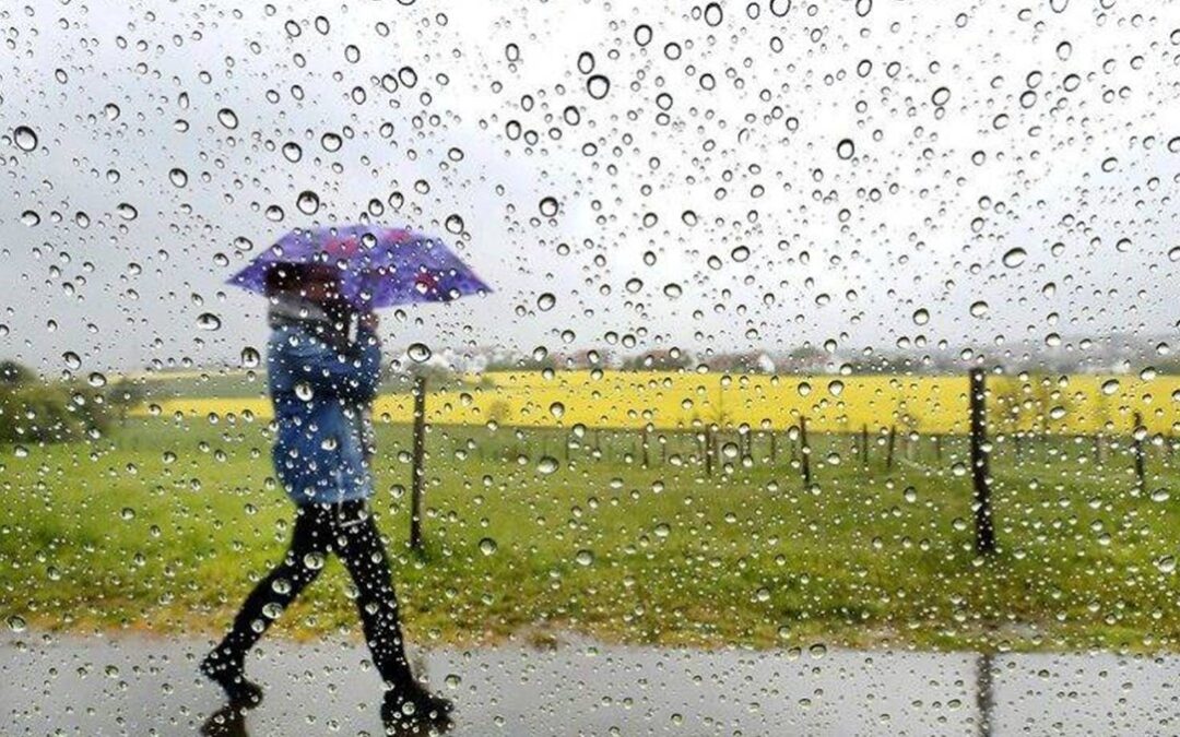 رياح سريعة الجريان وأمطار رعدية تتوغل في سماء منطقة عسير