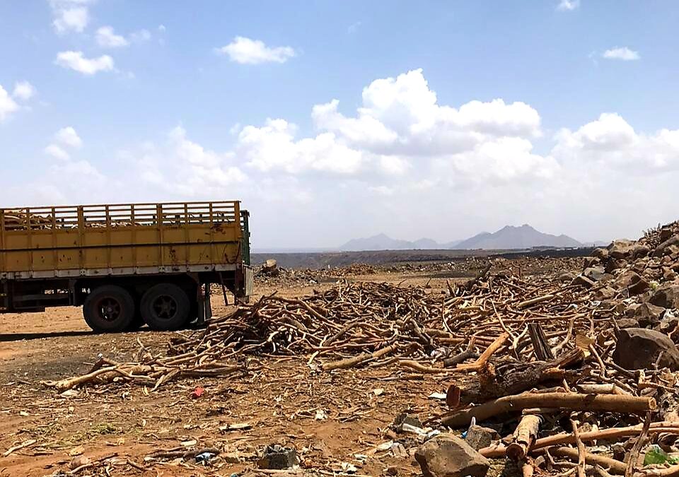 ضبط 3 مخالفين لنظام البيئة بحوزتهم حطب محلي معروض للبيع