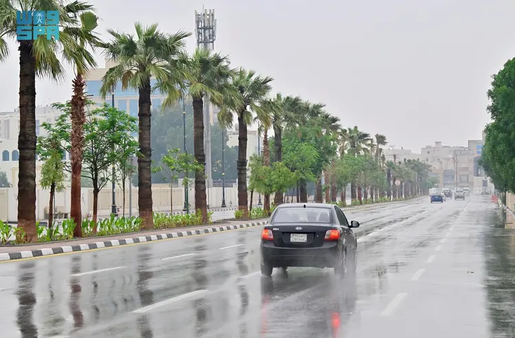 الشرقية تتمتع بهطول أمطار خفيفة إلى متوسطة