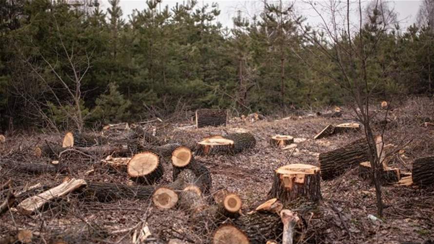 القبض على مقيم باكستاني لمخالفته نظام البيئة بمنطقة القصيم