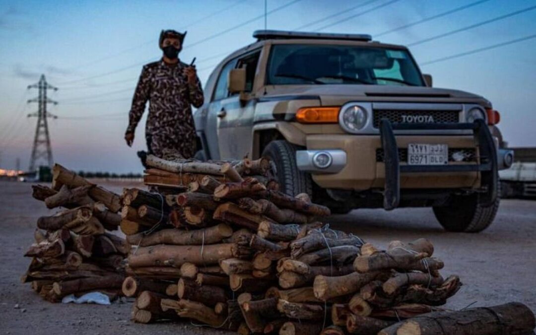 ضبط مواطن بحوزته حطب محلي معروض للبيع بمنطقة عسير