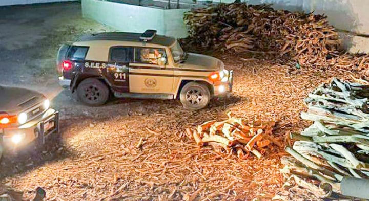 الأمن البيئي يضبط 5 أشخاص مخالفين لنظام البيئة