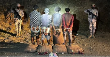 ضبط 4 مخالفين قبل تهريبهم 60 كغم من نبات القات المخدر بمنطقة جازان