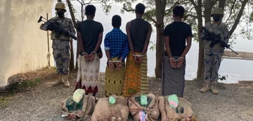 ضبط 4 مخالفين قبل تهريب 80 كغم من نبات القات المخدر بمنطقة جازان