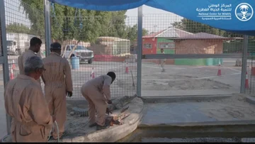 ضبط منشأة تمارس نشاط حدائق الحيوان بشكل مضر للبيئة بالمنطقة الشرقية