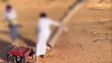 ضبط مواطنين ارتكبا مخالفة قطع الأشجار والإخلال بنظام البيئة