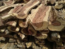 ضبط 4 بنغلاديش مقيمين بالشرقية لعرضهم حطبًا محليًا للبيع