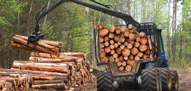 ضبط مواطن باستحواذه حطب محلي معروض للبيع بمنطقة القصيم