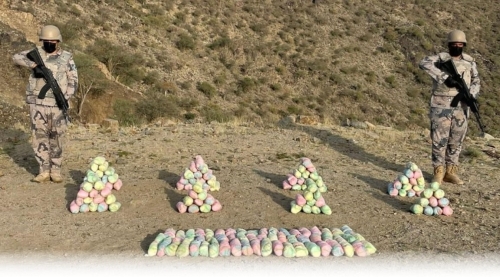 ضبط 6 مخالفين لتهريبهم 91 كجم من نبات القات المخدر بجازان