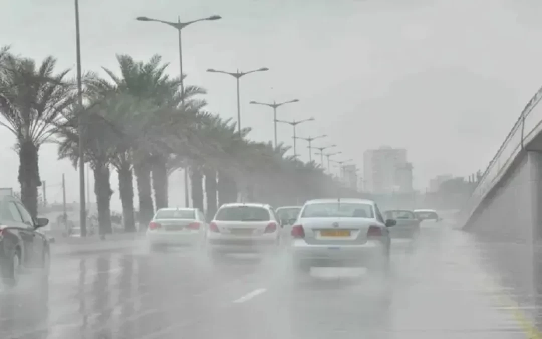 أمطار خفيفة وشبه انعدام في الرؤية على 11 منطقة بالمملكة