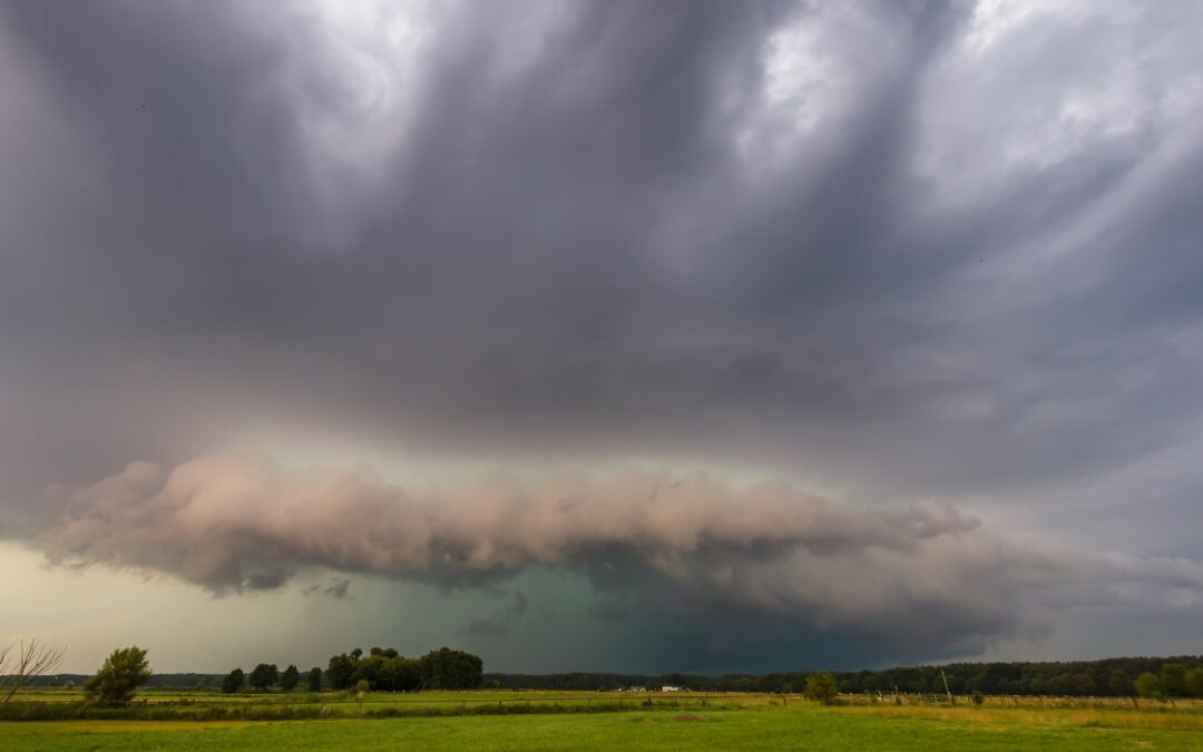 أمطار رعدية ورياح مثيرة للأتربة على بعض مناطق المملكة