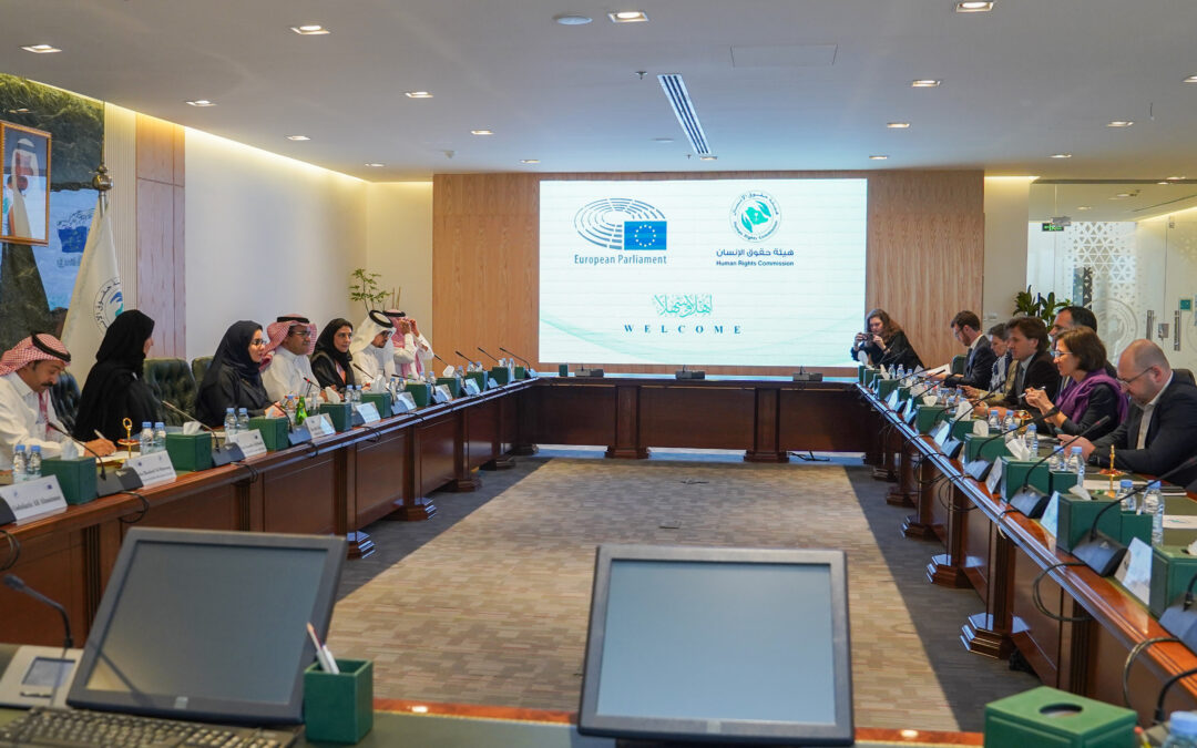 رئيس هيئة حقوق الإنسان يستقبل وفدًا برلمانياً فرنسياً
