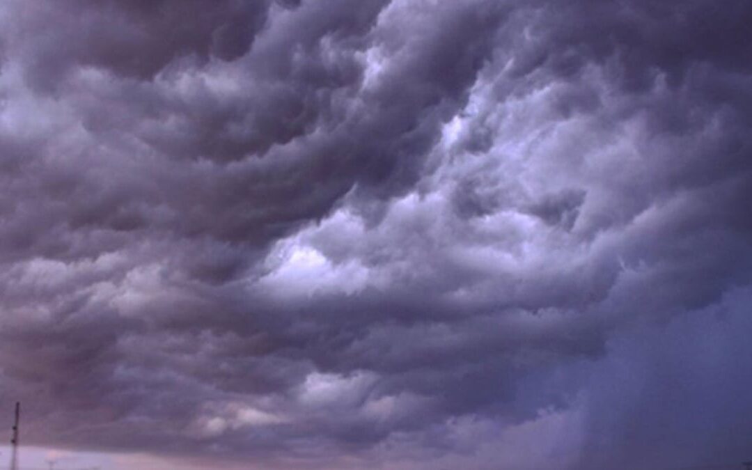 أمطار خفيفة مصحوبة برياح شديدة وتدن في الرؤية على مناطق من المملكة