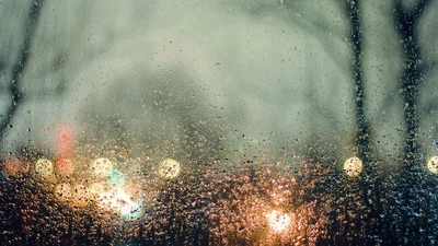 بـ 31° جازان والقنفذة الأعلى حرارة .. والسودة أدناها بـ 5° مئوية