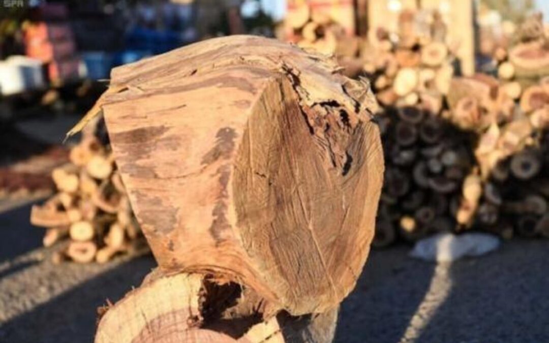 ضبط مقيم باكستاني بحوزته حطب محلي معروض للبيع بالمدينة المنورة