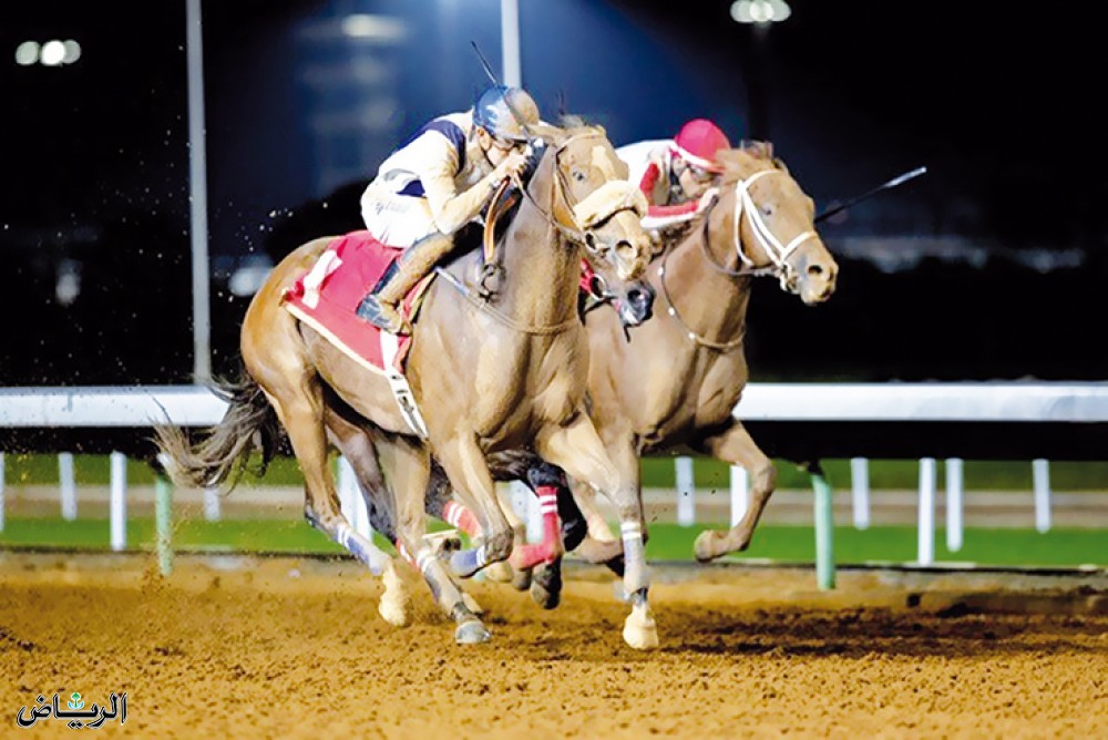 الأسبوع الـ 11 لنادي سباقات الخيل .. اشتعال المنافسة في كأسي الأمير سلطان بن عبد العزيز والخالدية