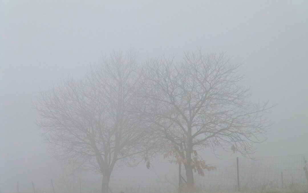 ضباب يكسو جازان يرافقه شبه انعدام في الرؤية الأفقية