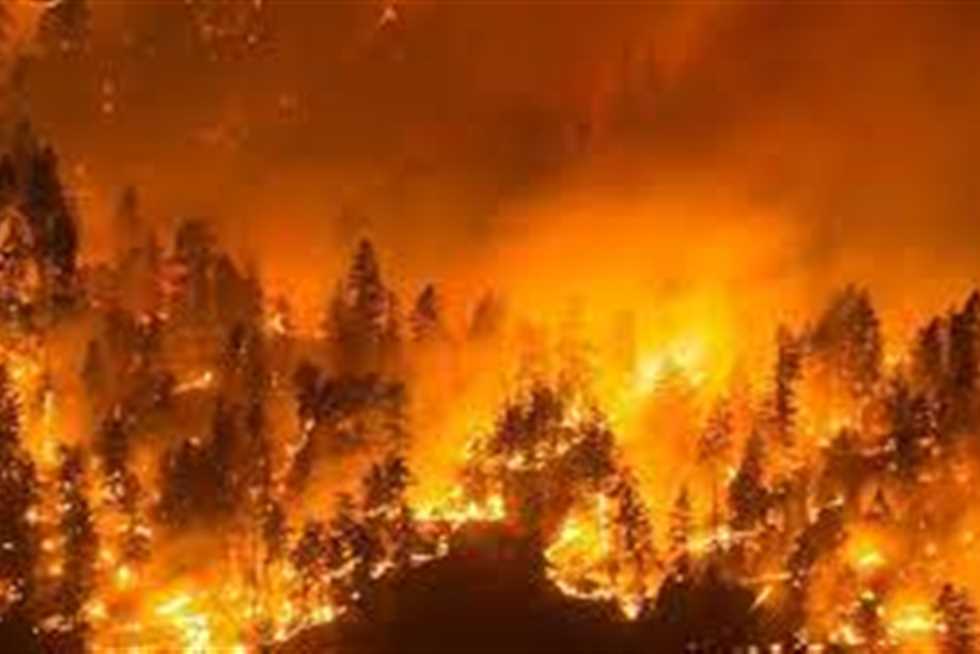 كندي يعترف بإحراقه 14 غابة ضخمة