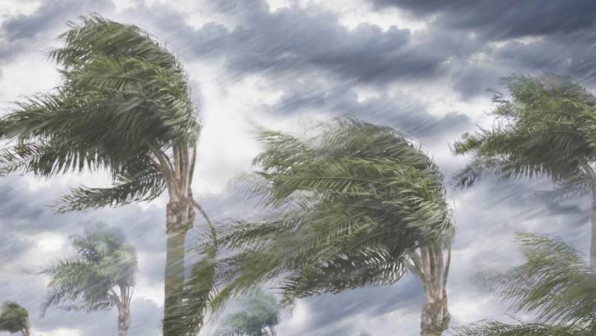 رياح نشطة بسرعة 70 كم/ساعة تتجه نحو شمال المملكة