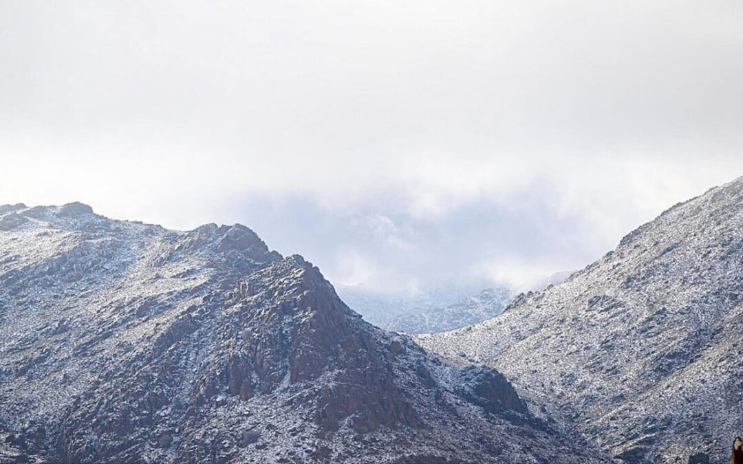 ثلوج خفيفة تغطي مرتفعات منطقة تبوك “علقان- الظهر- جبل اللوز”