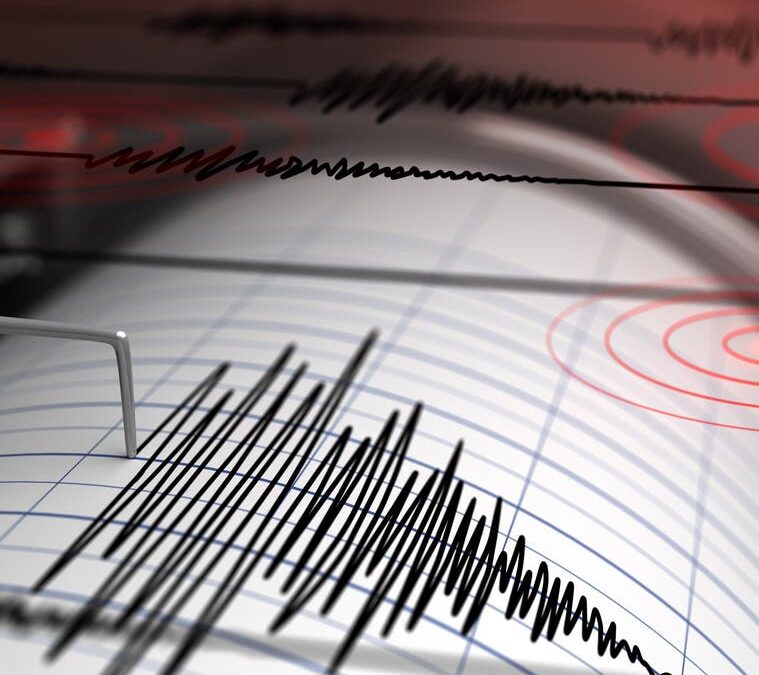 بقوة 5.1 درجة .. زلزال يؤرجح جزر كيرماديك قبالة سواحل نيوزيلندا