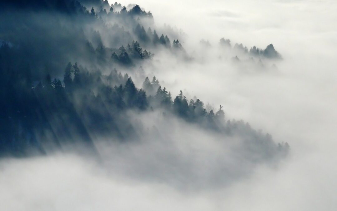 ضباب وطقس مستقر صباحًا وبرودة وسحب ليلا