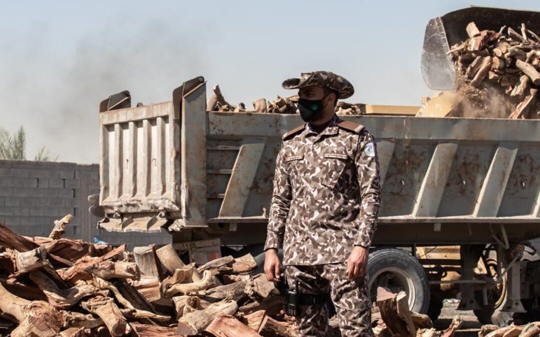 القبض على مخالفين لنظام البيئة قطعوا الأشجار وخزنوا الحطب المحلي بمكة