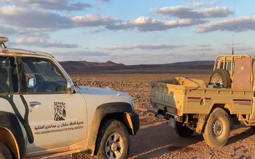 ضبط مركبتين و4 أشخاص مخالفين في محمية حرة الحرة