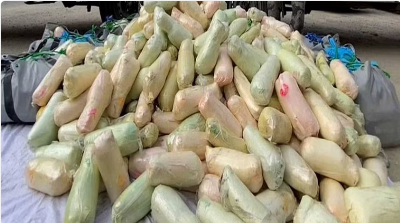 جازان .. ضبط شخصٍ لترويجه 172 كغم من القات المخدر