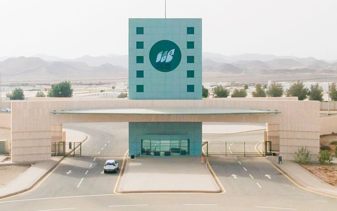 جامعة جدة تحصد براءة اختراع ابتكار لتحضير مواد سيراميكية ضد النشاط الميكروبي