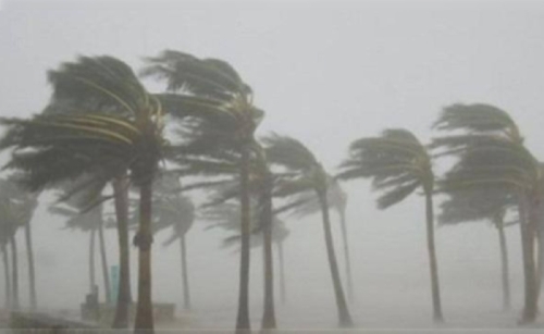 رياح شديدة تثور على ينبع والرايس