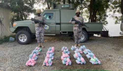 جازان .. إحباط تهريب 160 كغم من نبات القات المخدر