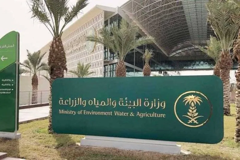 “بيئة الرياض” تضبط 12 طنًا من البيض الفاسد