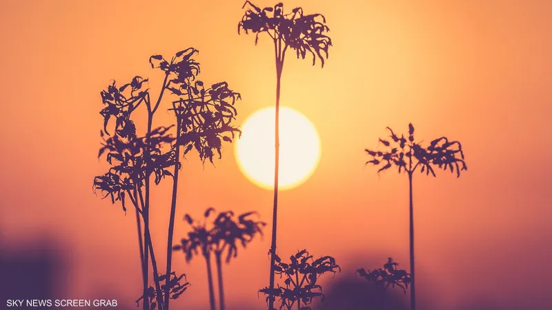 بـ 40 ْ .. “شرورة الأعلى حرارة بالمملكة اليوم .. والسودة الأدنى بـ 8 ْمئوية