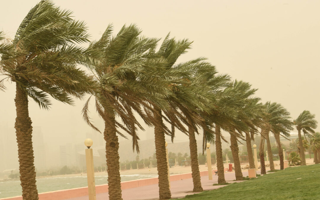 “العصيمي”: سُحب ورياحٌ قويّة مُثيرة للأتربة على المناطق الوسطى وشرق المرتفعات