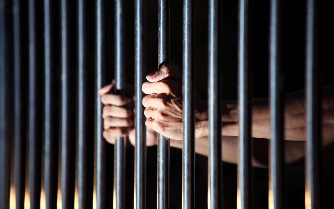 جازان .. إحباط 3 عمليات تهريب 434 كجم من القات