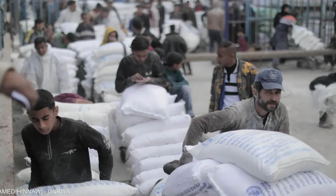 “إغاثي الملك” .. يوزع مساعدات غذائية للنازحين في مراكز الإيواء بغزة