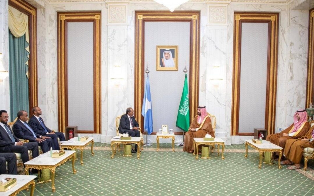 ولي العهد يستعرض مع الرئيس الصومالي العلاقات الثنائية ومجالات التعاون المشترك
