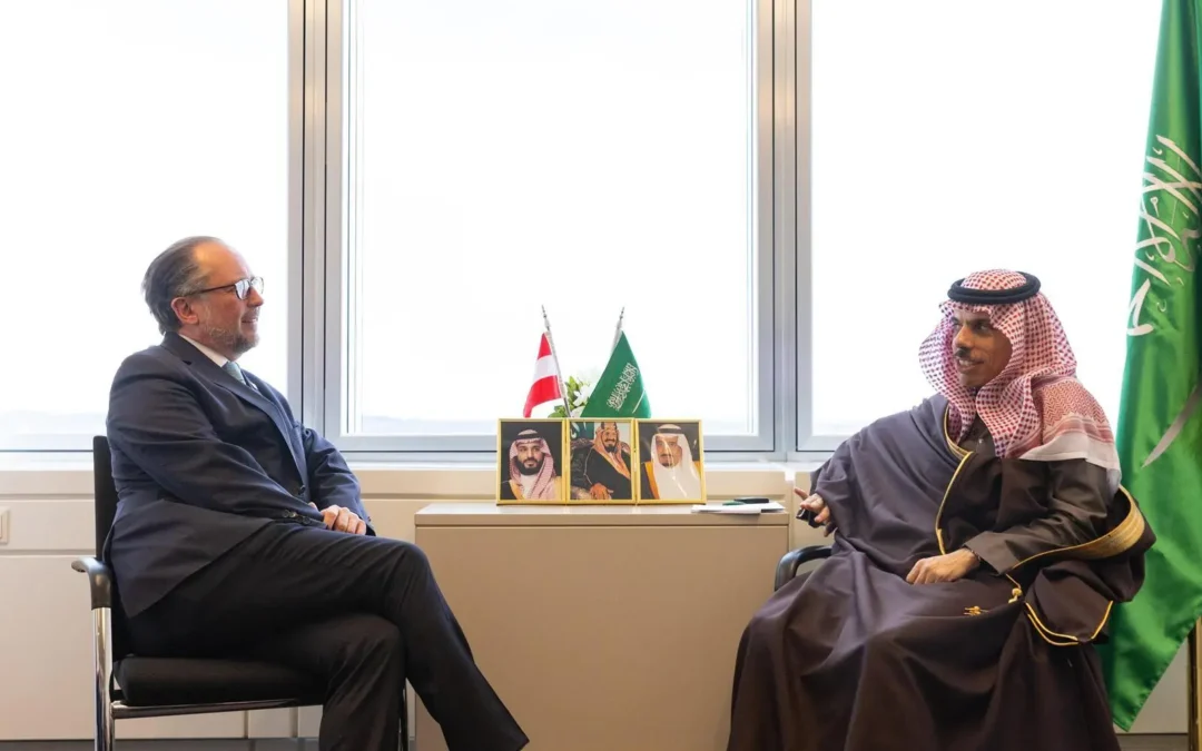 وزير الخارجية ونظيره النمساوي يبحثون سبل تعزيز التعاون