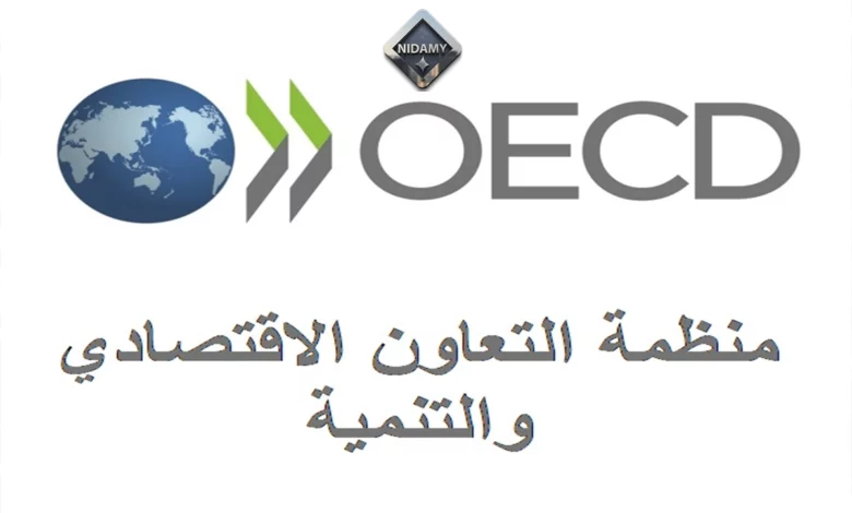 “التعاون والتنمية” تكشف الآثار الإيجابية للهجرة إلى الدول المتقدمة