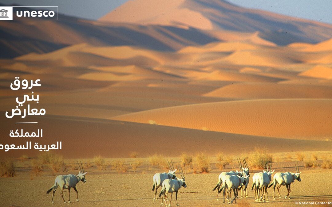 “مركز الحياة الفطرية”: محمية عروق بني معارض تتمتع بمقومات سياحية وطبيعة فريدة